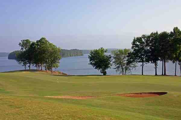 golf, green, golfing